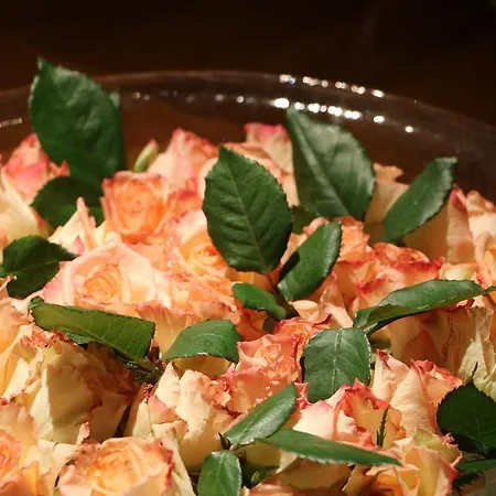 Cristallo Ξενοδοχείο 4*